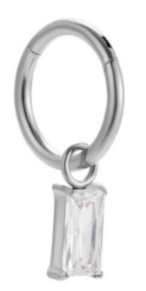 A silver zircon segment clicker ring in implant grade titanium by Willow and Thorn