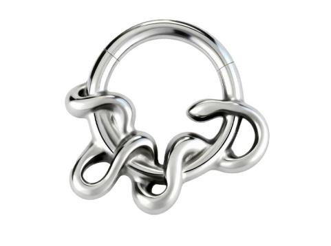 A plain silver segment clicker ring in implant grade titanium by Willow and Thorn